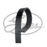 CD8 2 COURROIES D'ACCESSOIRE