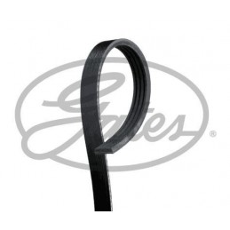 CD8 2 COURROIES D'ACCESSOIRE
