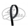 CD8 2 COURROIES D'ACCESSOIRE