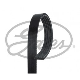 CD10 2 COURROIES D'ACCESSOIRE