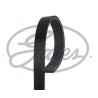 CD10 2 COURROIES D'ACCESSOIRE