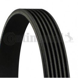 CD8 3 COURROIES D'ACCESSOIRE